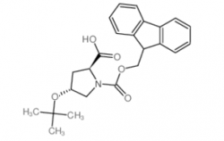 Fmoc-Hyp(tBu)-OH CAS號(hào)：122996-47-8