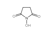 N-Hydroxysuccinimide CAS No.: 6066-82-6