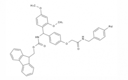 香港Rink Amide-AM Resin