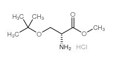 H-D-Ser-OMe·HCl