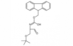 香港Fmoc-Ser(tBu)-Wang resin