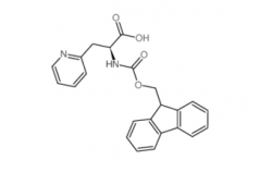 Fmoc-3-(2-Pyridyl)-Alanine CAS No.: 185379-40-2