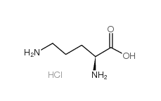 H-Orn-OH·HCl  CAS No.: 3184-13-2