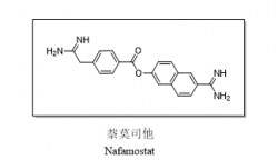 萘莫司他（Nafamostat）